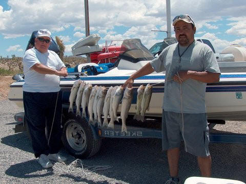 fishing lake mead